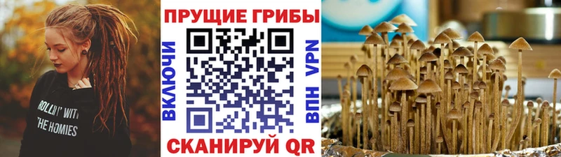 хочу наркоту  Богородск  ссылка на мегу маркетплейс  Псилоцибиновые грибы прущие грибы 